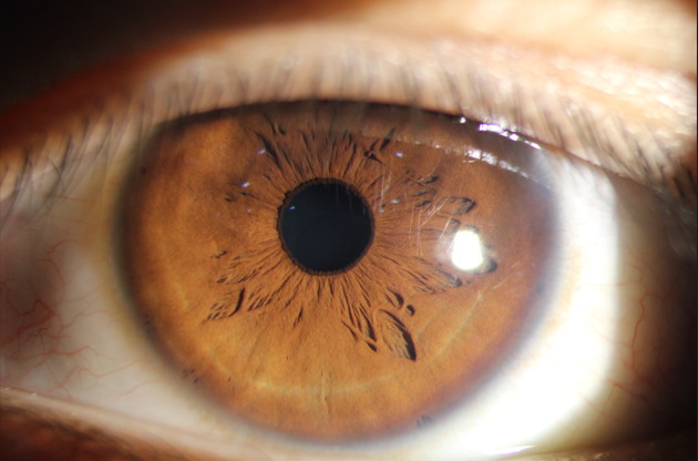 /Files/Image/20240914/%e5%be%ae%e4%bf%a1%e5%9b%be%e7%89%87_20251014151612_207_49.png?2025101415182686