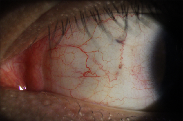 /Files/Image/20240914/%e5%be%ae%e4%bf%a1%e5%9b%be%e7%89%87_20251014151629_208_49.png?2025101415183537