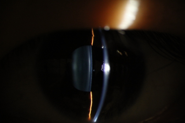 /Files/Image/20240914/%e5%be%ae%e4%bf%a1%e5%9b%be%e7%89%87_20251014151757_209_49.png?2025101415181773